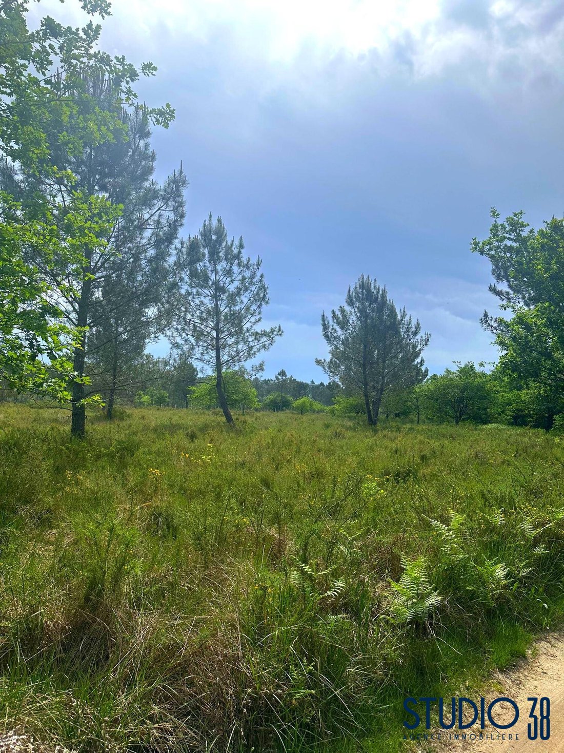 Farm Ranch in Centre Ville, Gujan-Mestras, France 3 - 17912228
