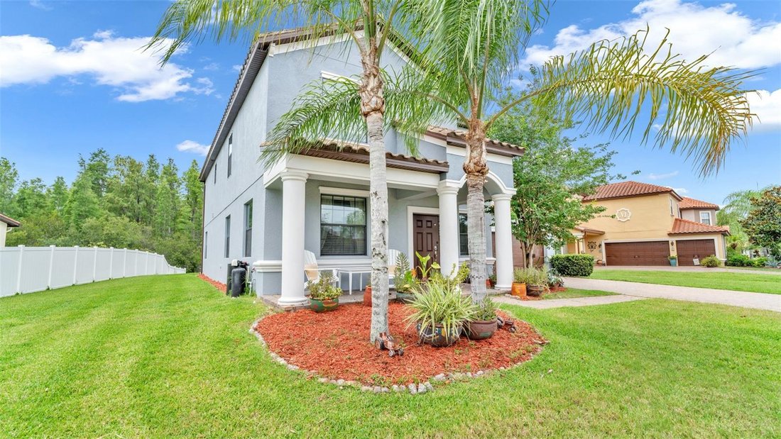 House in Land O' Lakes, Florida, United States 4 - 18184281