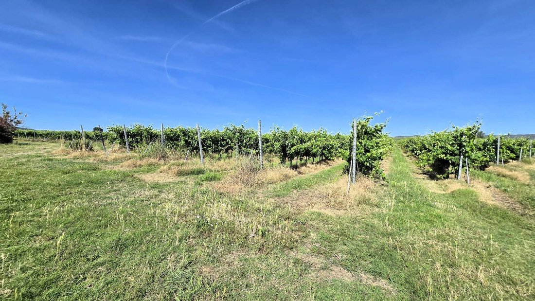 Farm Ranch in Scarlino, Tuscany, Italy 2 - 18186032