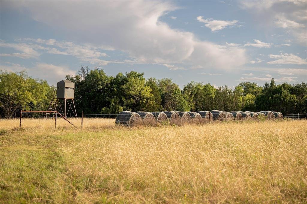 Farm Ranch in Stephenville, Texas, United States 4 - 18152900