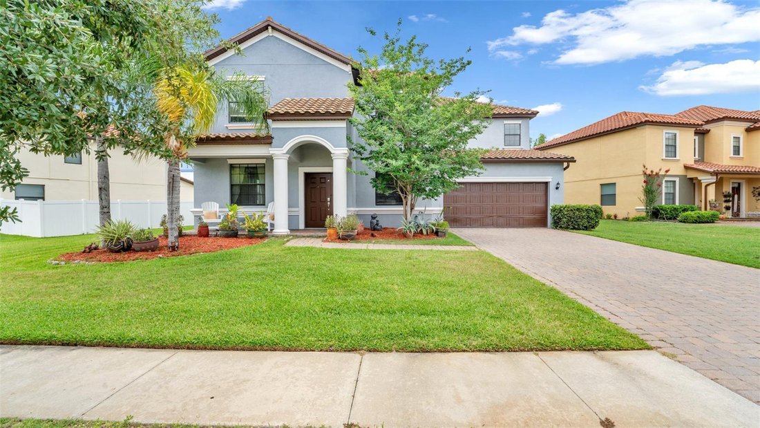 House in Land O' Lakes, Florida, United States 1 - 18184281