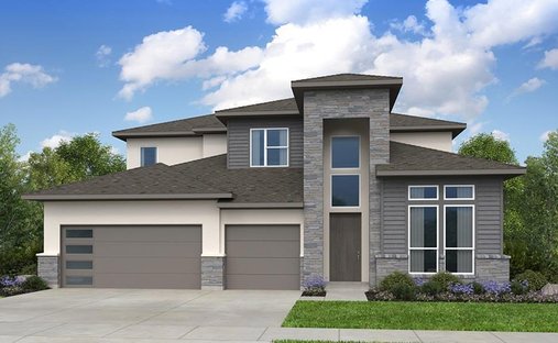 House in Leander, Texas, United States 1