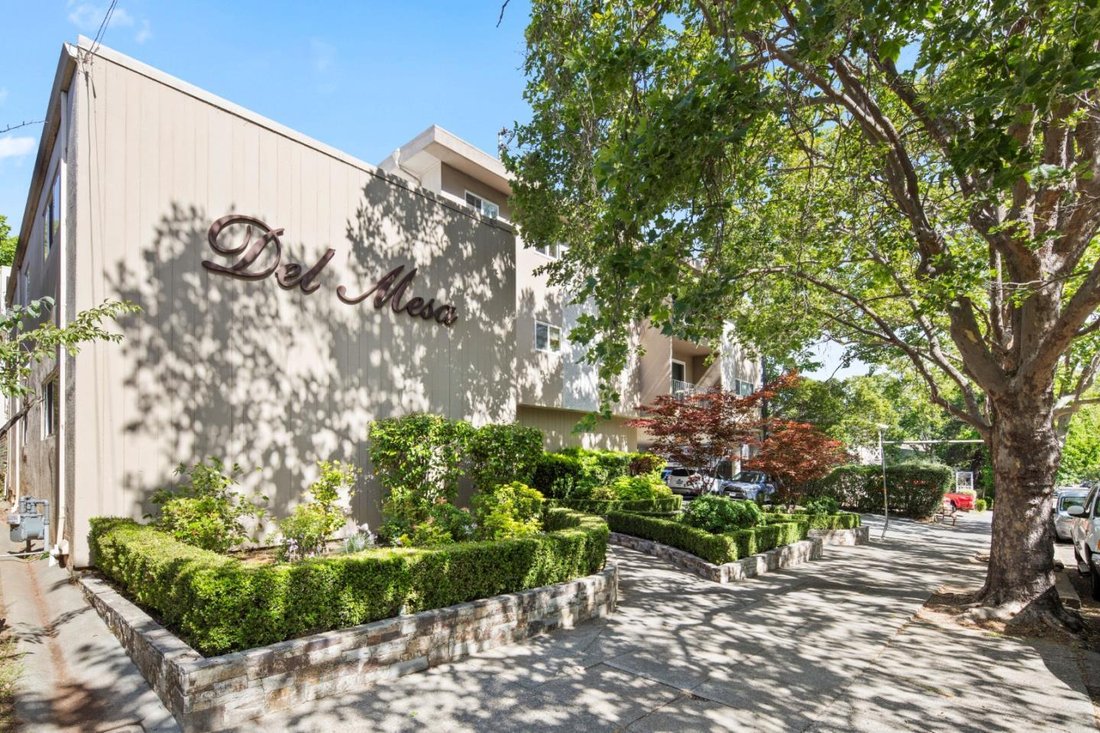 San Rafael, California, United States 1 - 18185256