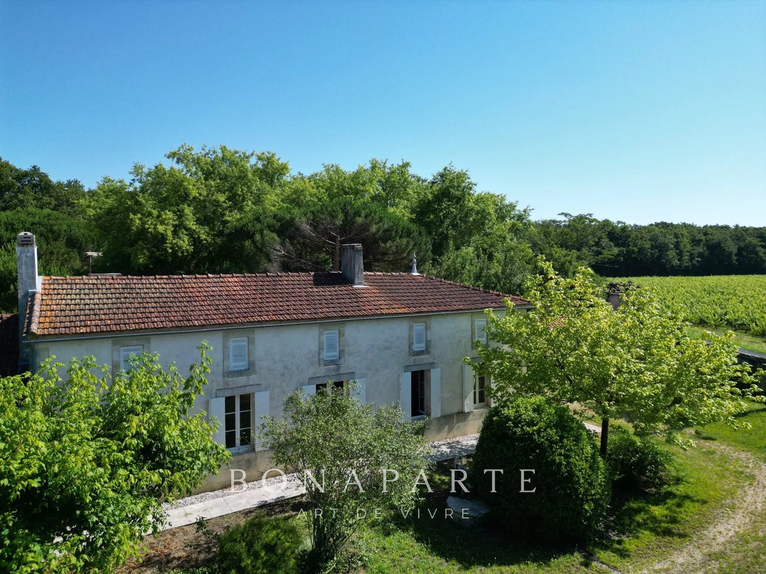 Estate in Bégadan, Nouvelle-Aquitaine, France 4 - 17862953