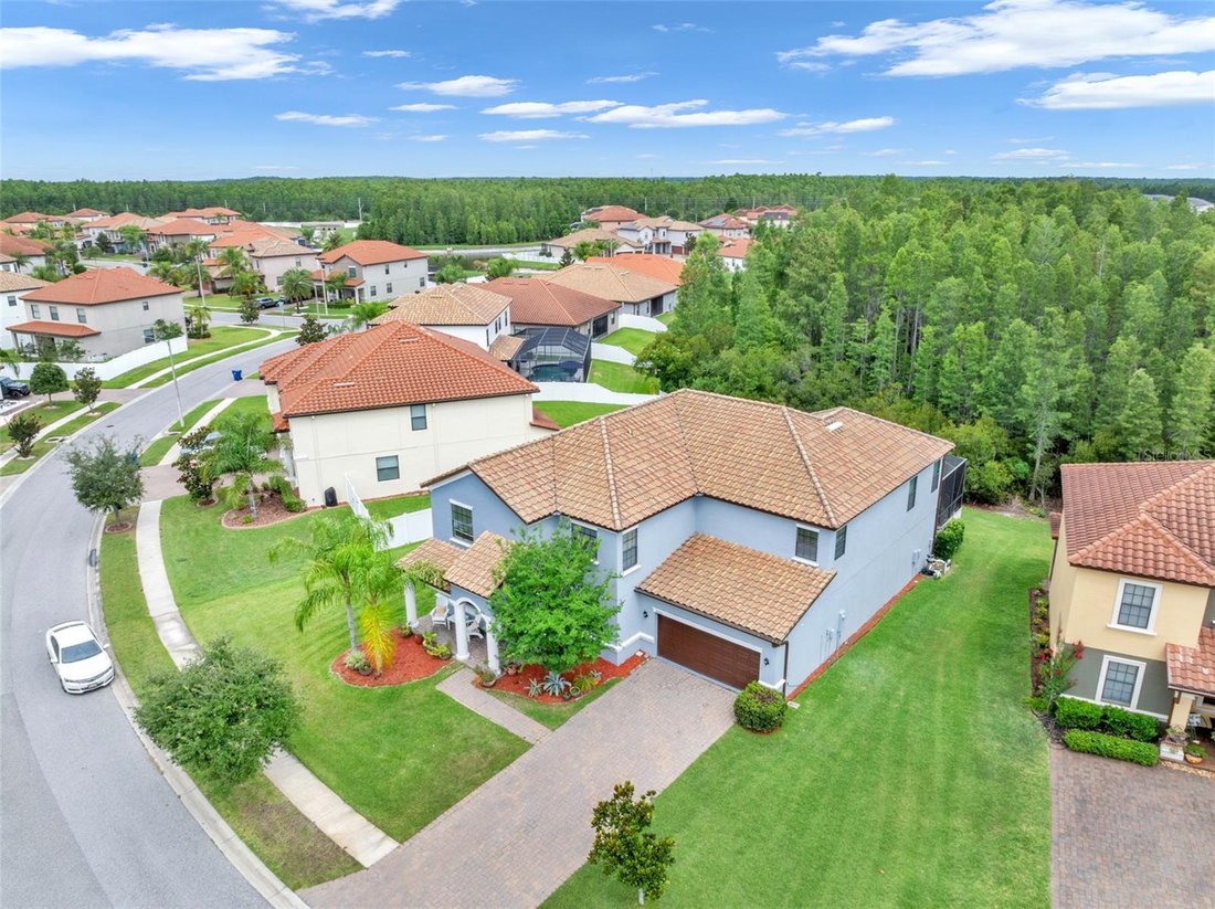 House in Land O' Lakes, Florida, United States 5 - 18184281
