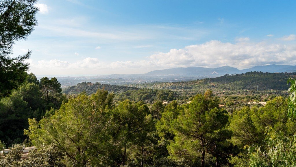 Farm Ranch in Bunyola, Balearic Islands, Spain 2 - 16959185