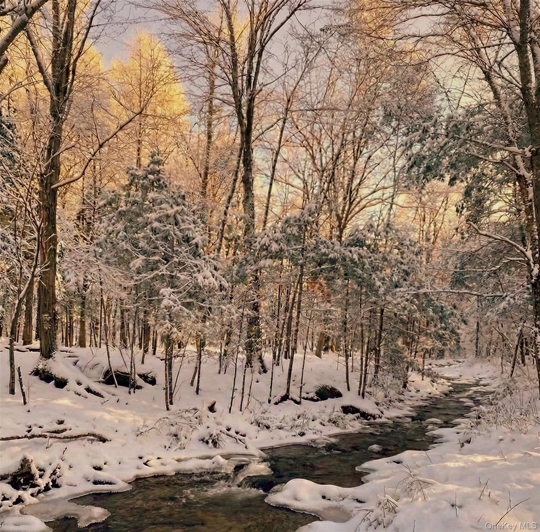 Land in Saugerties, New York, United States 4 - 18183860