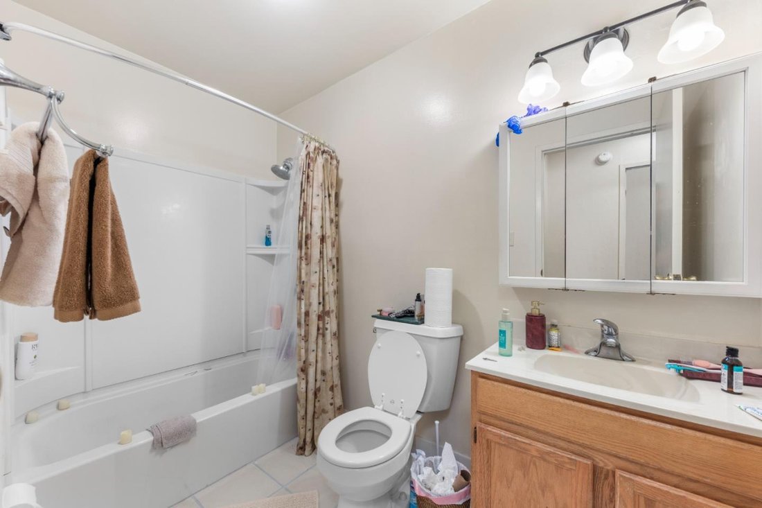 San Rafael, California, United States 5 - 18185256