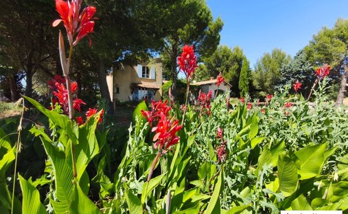 Country House in Arles, Provence-Alpes-Côte d'Azur, France 1