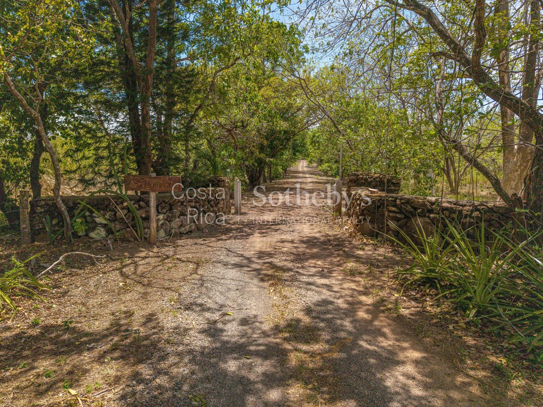 Land in Liberia, Liberia, Costa Rica 4 - 15827630