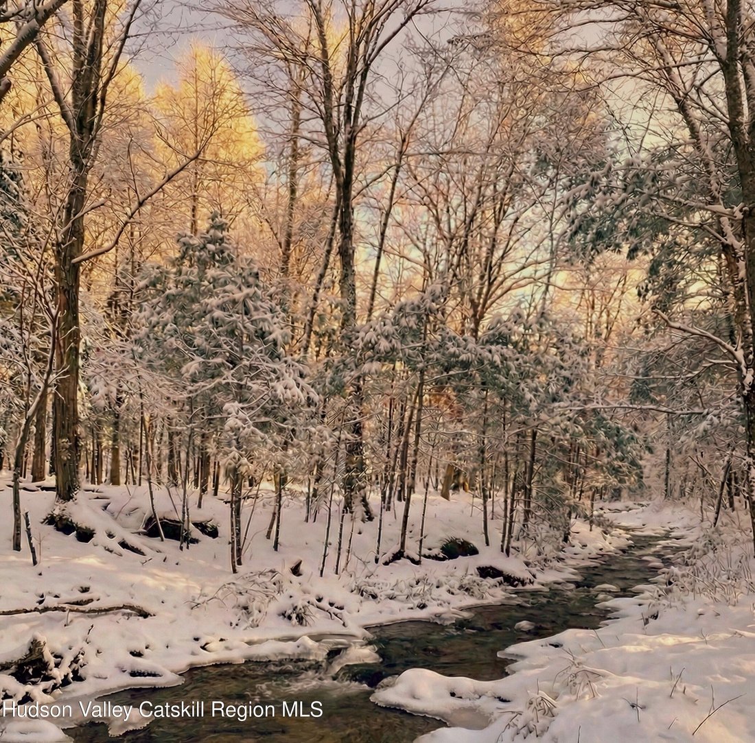 Land in Saugerties, New York, United States 4 - 18183858