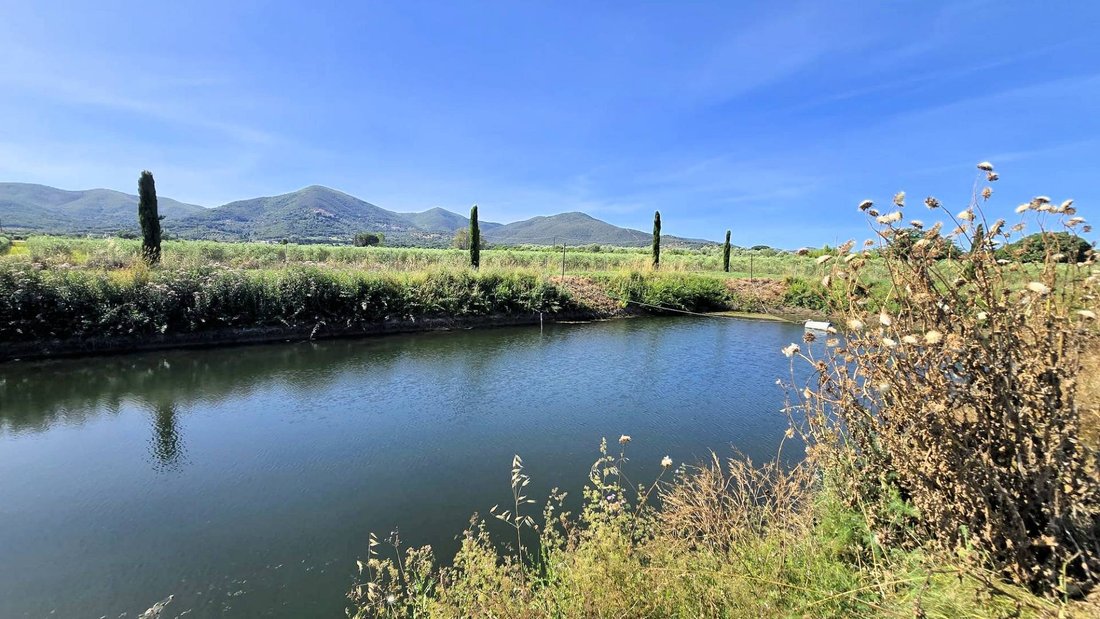 Farm Ranch in Scarlino, Tuscany, Italy 1 - 18186032