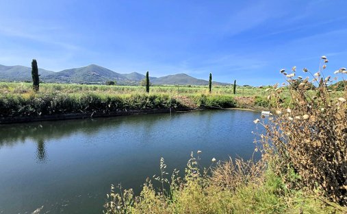 Land in Scarlino, Tuscany, Italy 1