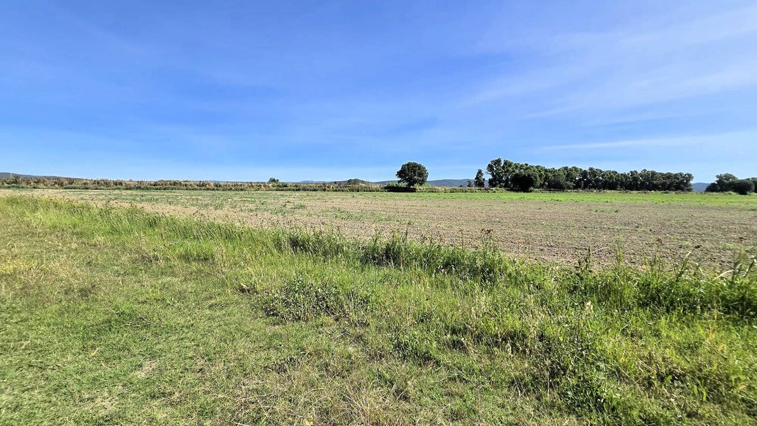 Farm Ranch in Scarlino, Tuscany, Italy 3 - 18186032