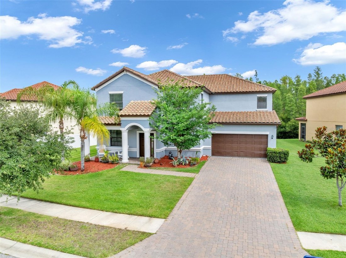 House in Land O' Lakes, Florida, United States 2 - 18184281