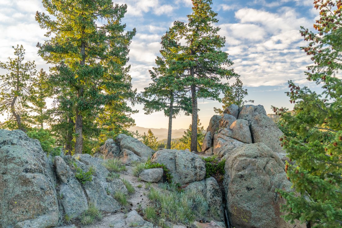 Land in Evergreen, Colorado, United States 4 - 15963664
