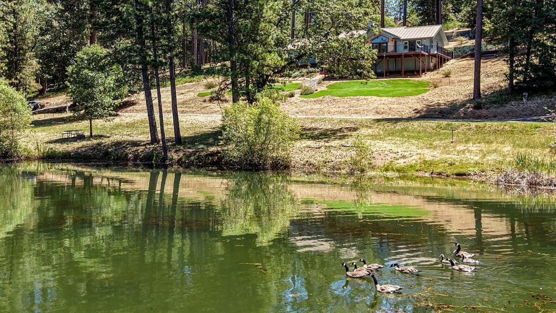 House in Grass Valley, California, United States 1 - 18182998