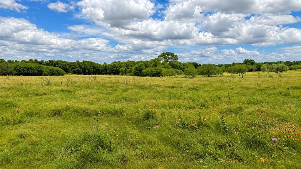 Rancho en Gainesville, Texas, Estados Unidos 4 - 18184654