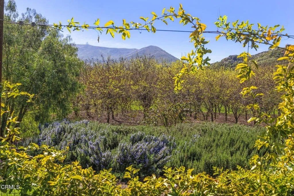House in Ventura, California, United States 4 - 18184923