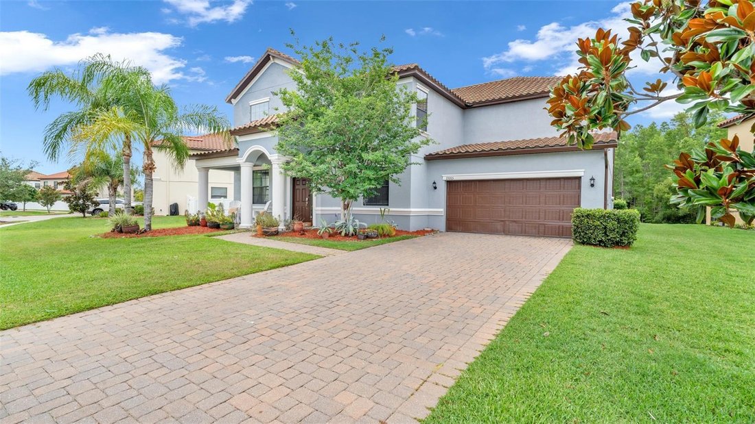 House in Land O' Lakes, Florida, United States 3 - 18184281