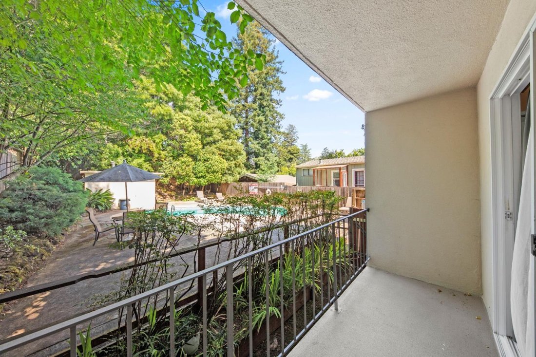 San Rafael, California, United States 3 - 18185256