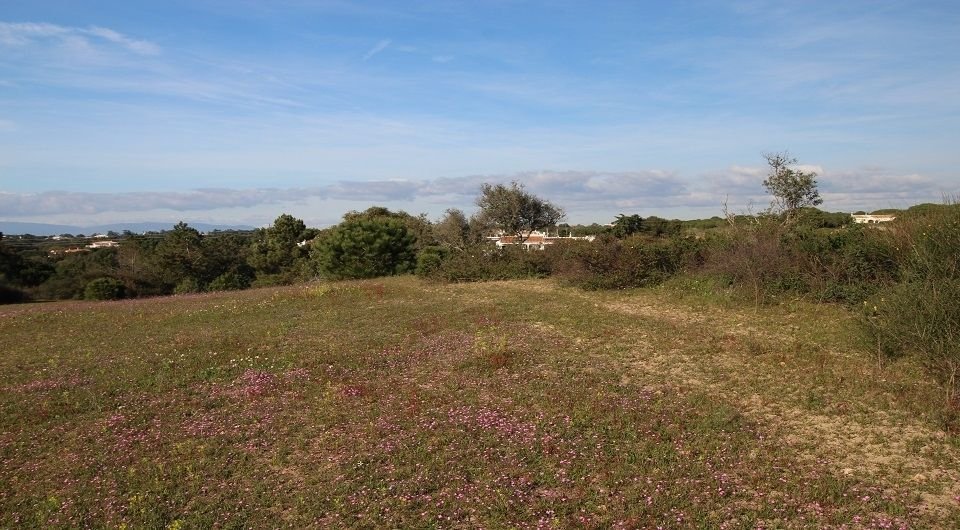 Land in Lagoa e Carvoeiro, Algarve, Portugal 2 - 12408465