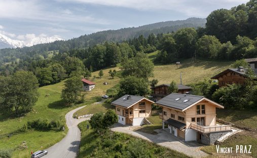 Chalet in Combloux, Auvergne-Rhône-Alpes, France 1