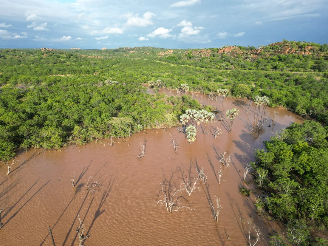 Land in Musina, Limpopo, South Africa 5 - 18185959