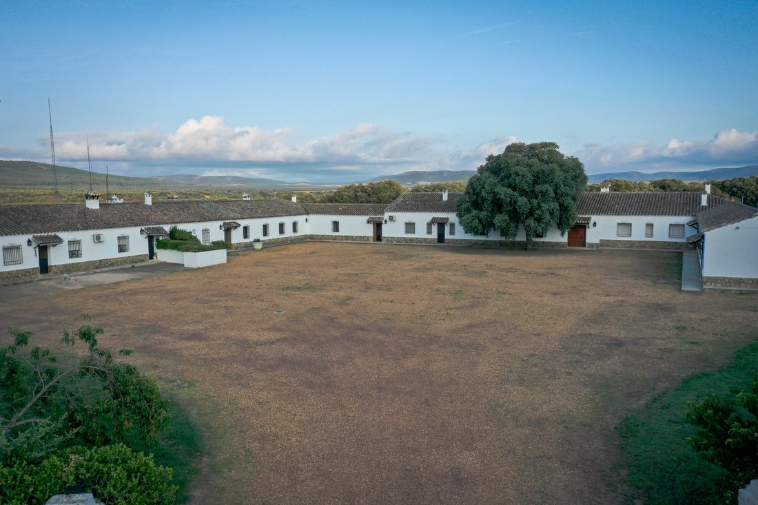 Estate in Piedrabuena, Castile-La Mancha, Spain 4 - 13134346