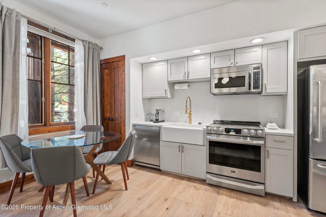 Condo in Aspen, Colorado, United States 4 - 18184051