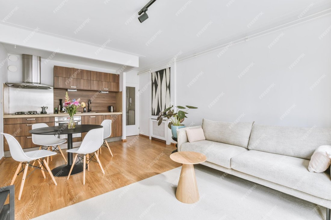 Apartment in Violet Commerce, Paris 15e Arrondissement, Paris 2 - 18184346