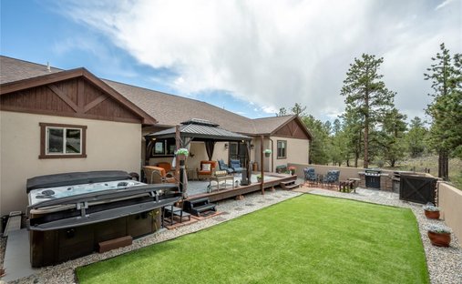 House in Buena Vista, Colorado, United States 1