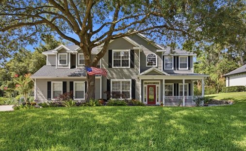 Haus in Winter Garden, Florida, Vereinigte Staaten 1