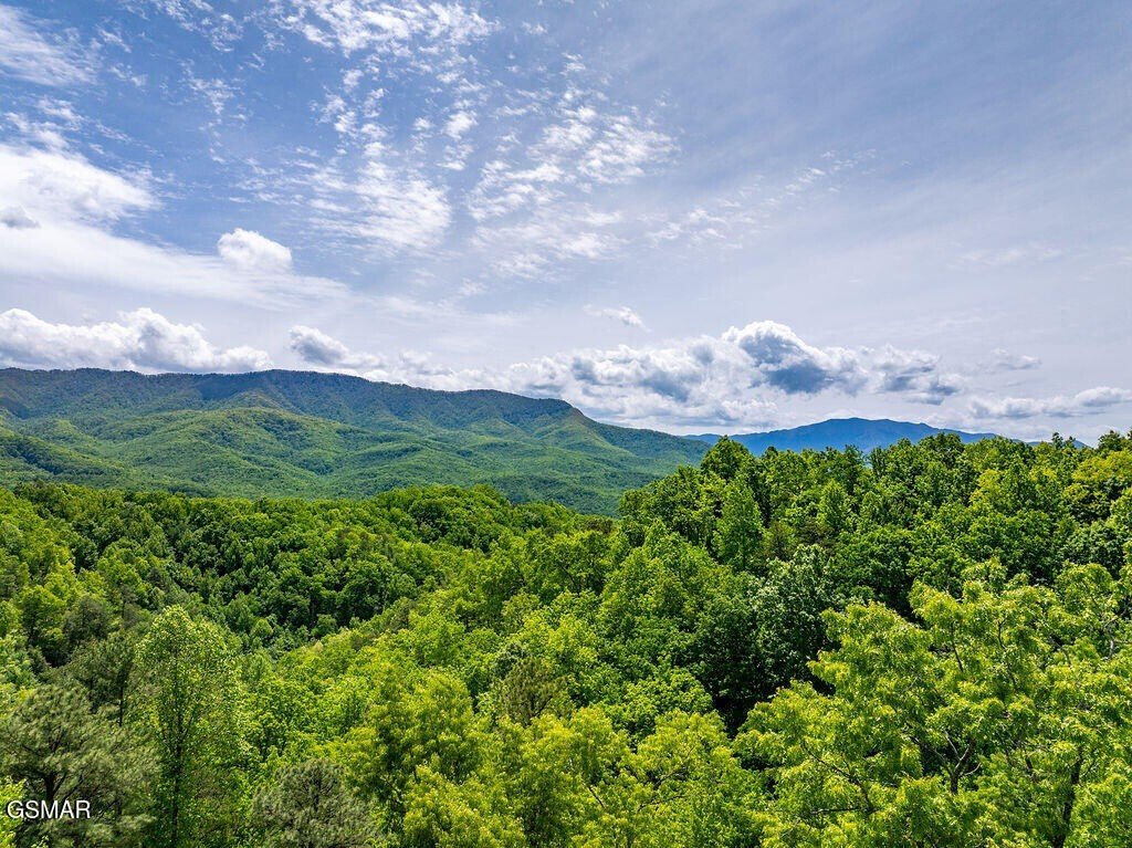 Casa a Gatlinburg, Tennessee, Stati Uniti 3 - 18183794