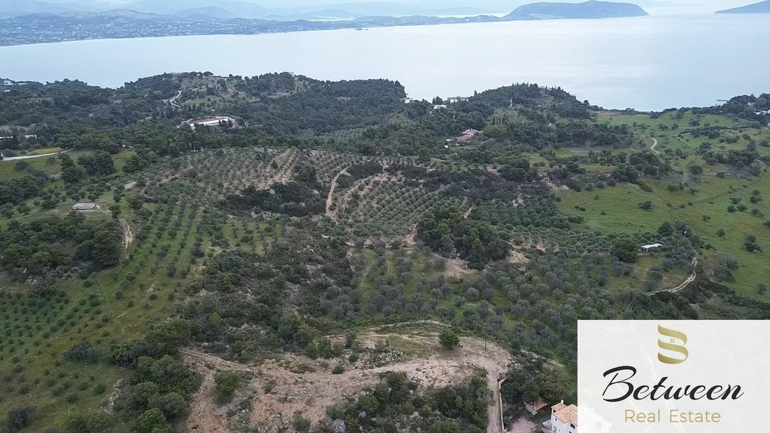 Land in Koinotita Portoxeliou, Kranidi, Greece 1 - 18186489