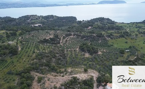 Terrain à Koinotita Portoxeliou, Kranidi, Grèce 1