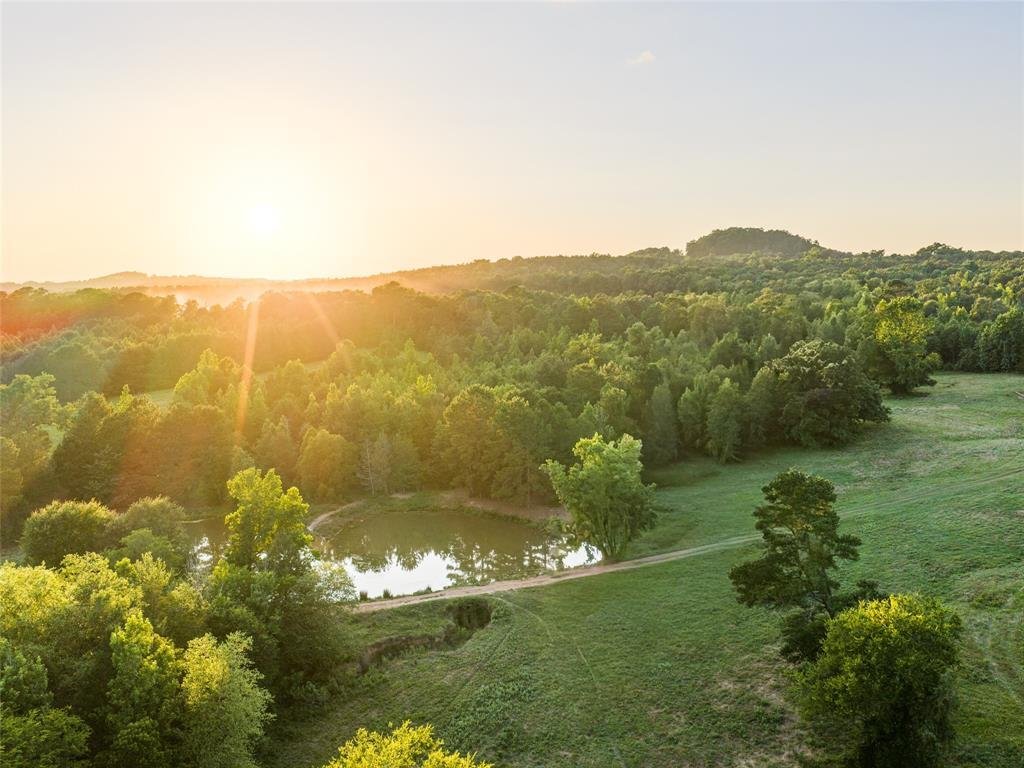 Farm Ranch in Ore City, Texas, United States 5 - 18184593