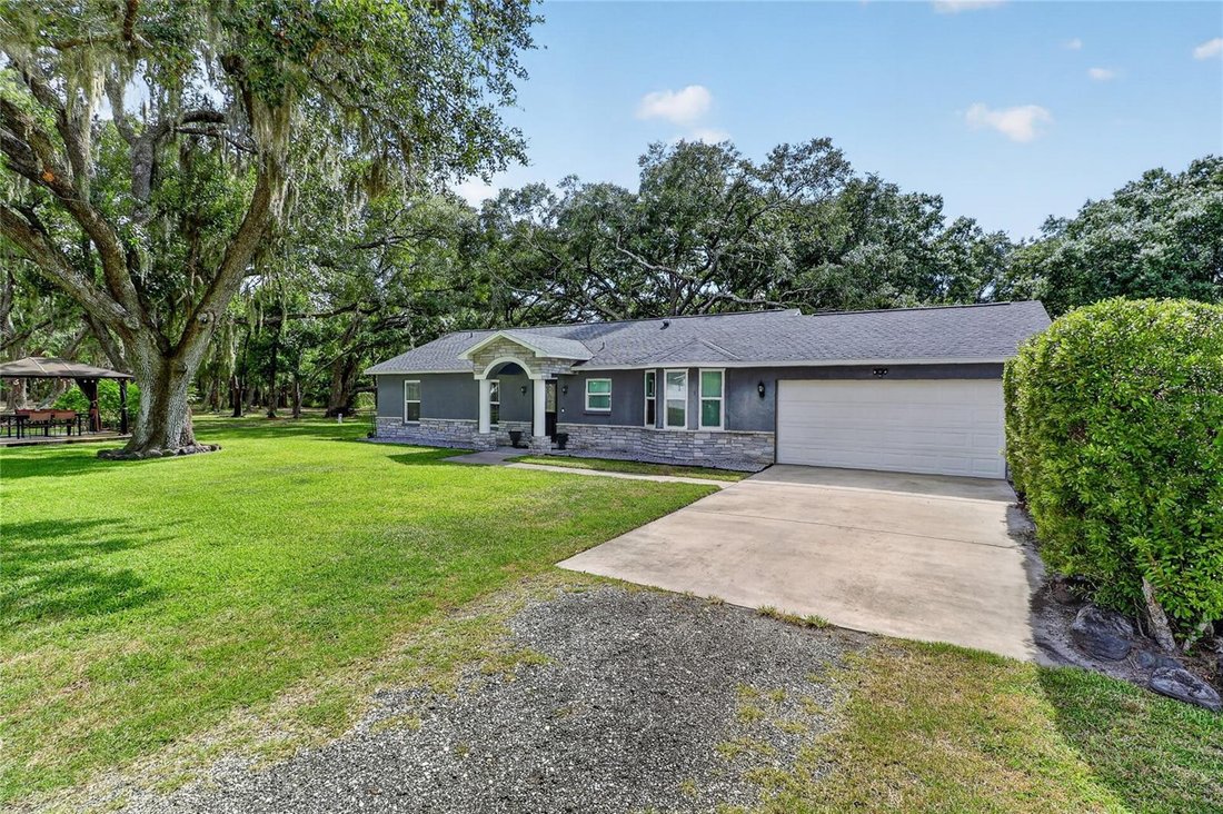 House in Odessa, Florida, United States 1 - 18184265