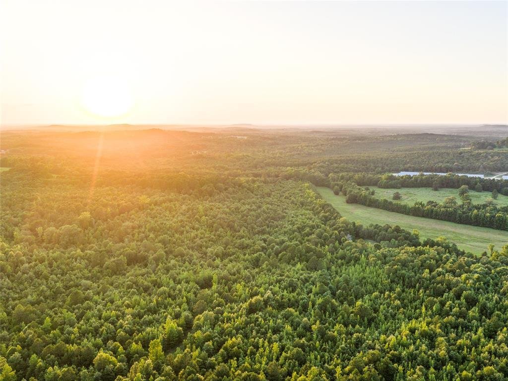 Farm Ranch in Ore City, Texas, United States 4 - 18184593