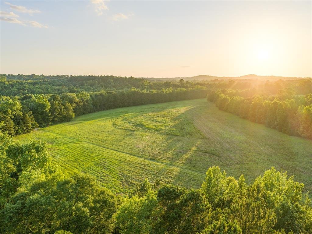 Farm Ranch in Ore City, Texas, United States 2 - 18184593