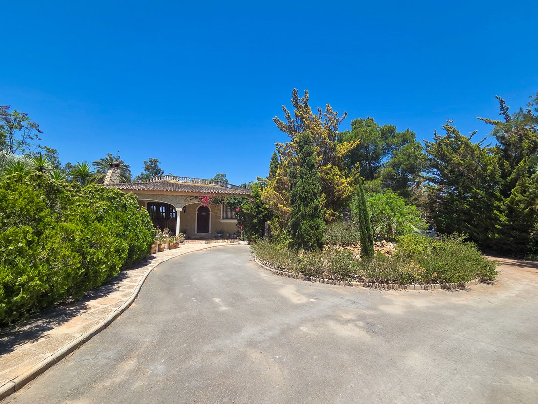 Villa in Elche, Land Valencia, Spanien 4 - 18185580