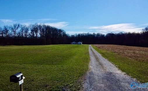 Farm Ranch in Ardmore, Tennessee, United States 1