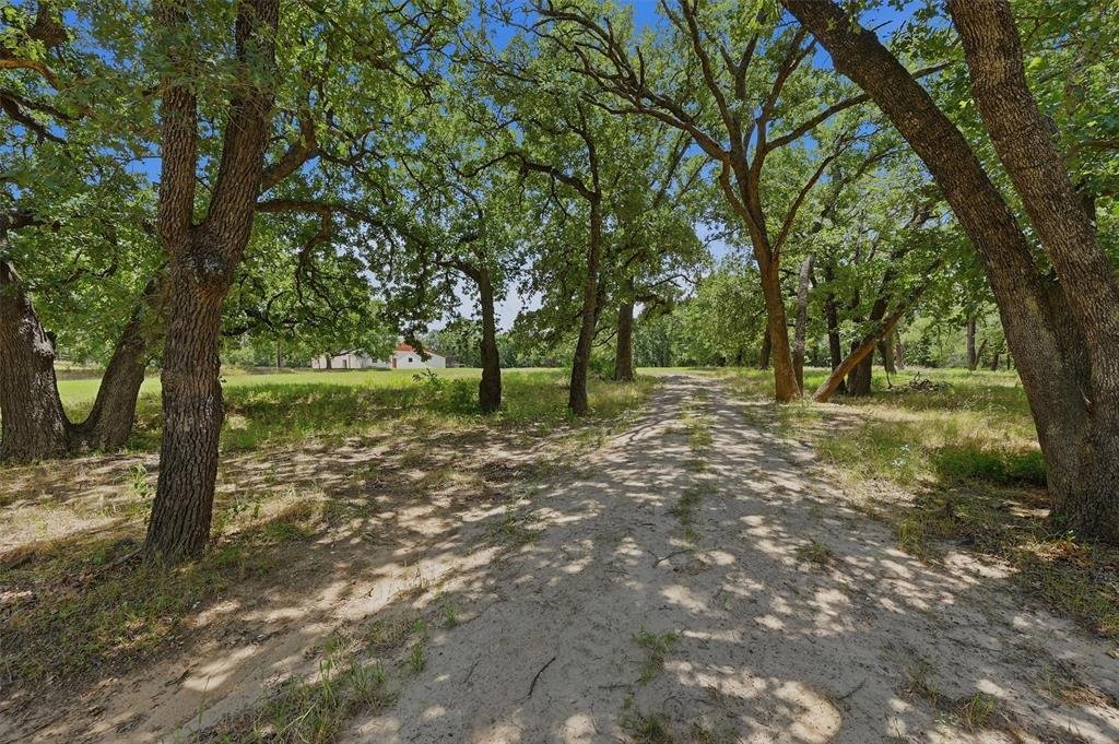 Valley View, Texas, United States 4 - 17214659