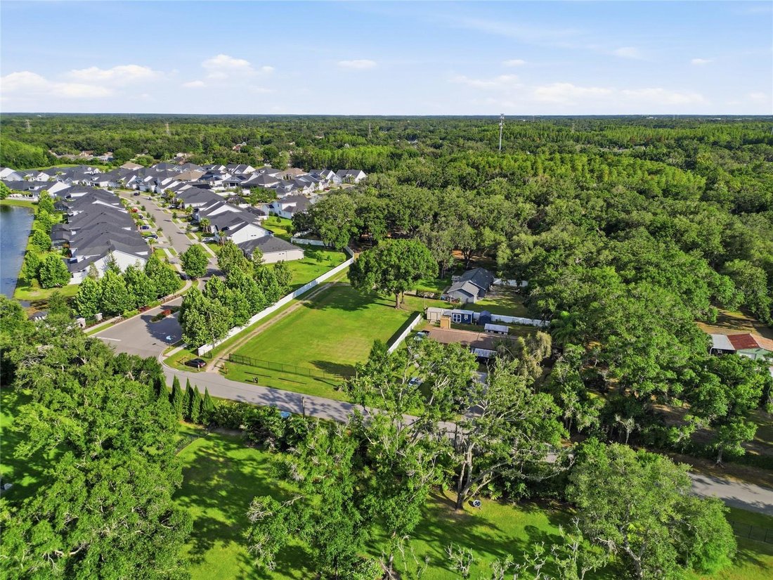 House in Odessa, Florida, United States 5 - 18184265