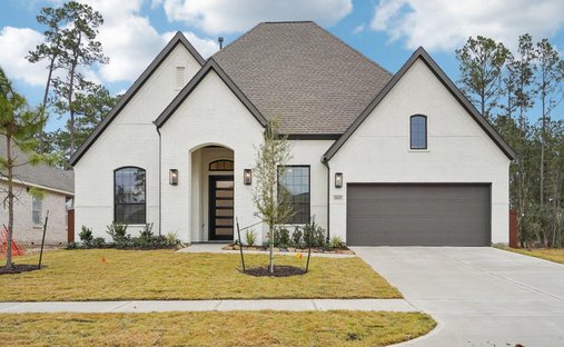 House in Conroe, Texas, United States 1