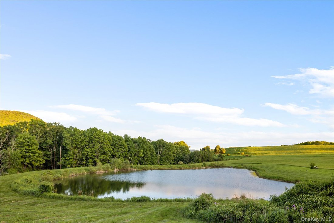 Townhouse in Hillsdale, New York, United States 4 - 18183834