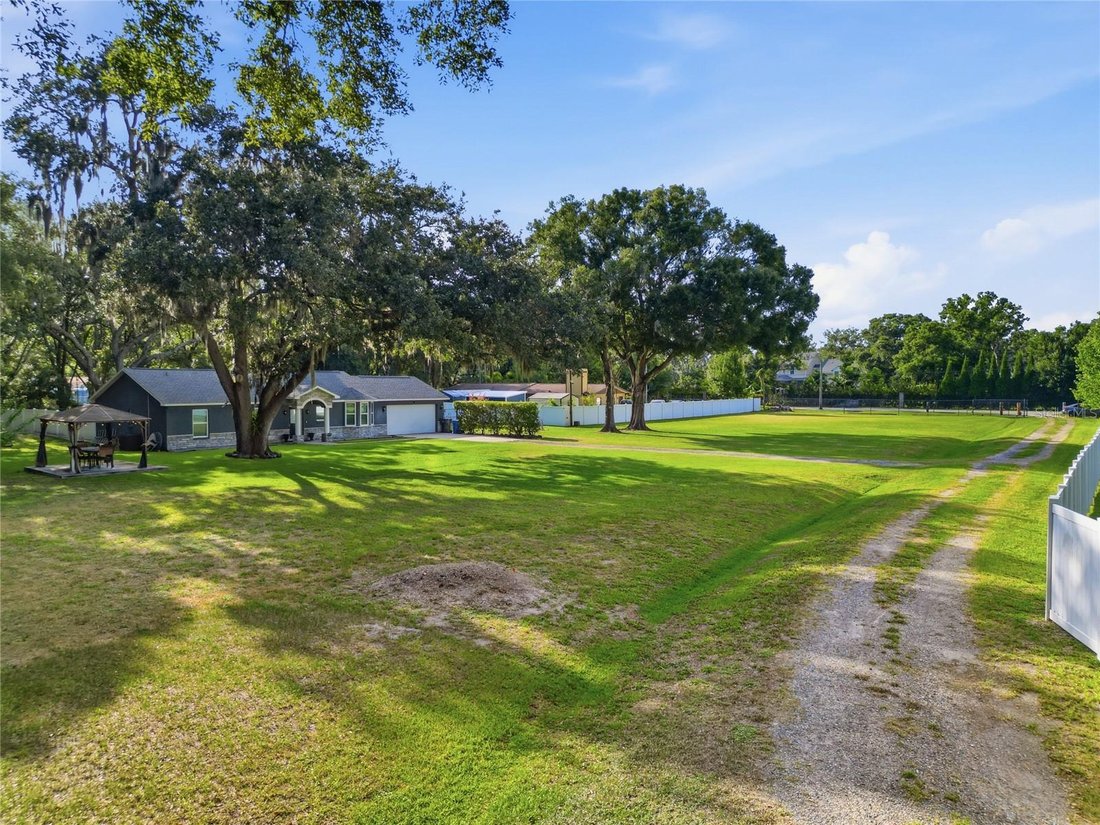 House in Odessa, Florida, United States 4 - 18184265