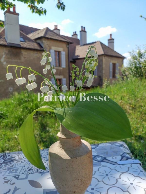 House in Cercy-la-Tour, Bourgogne – Franche-Comté, France 3 - 18147757