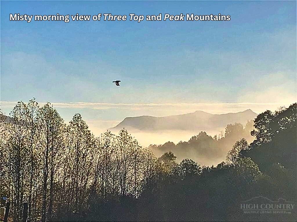 House in Creston, North Carolina, United States 2 - 18131276