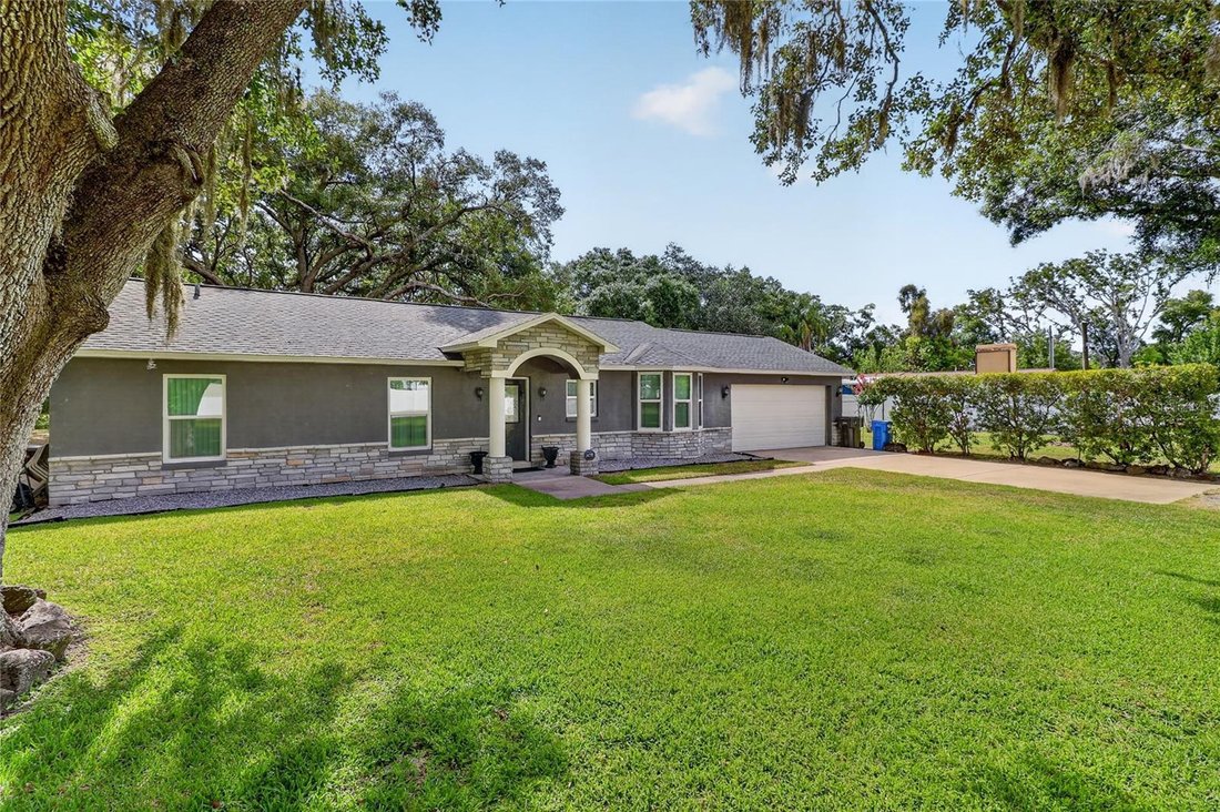 House in Odessa, Florida, United States 3 - 18184265